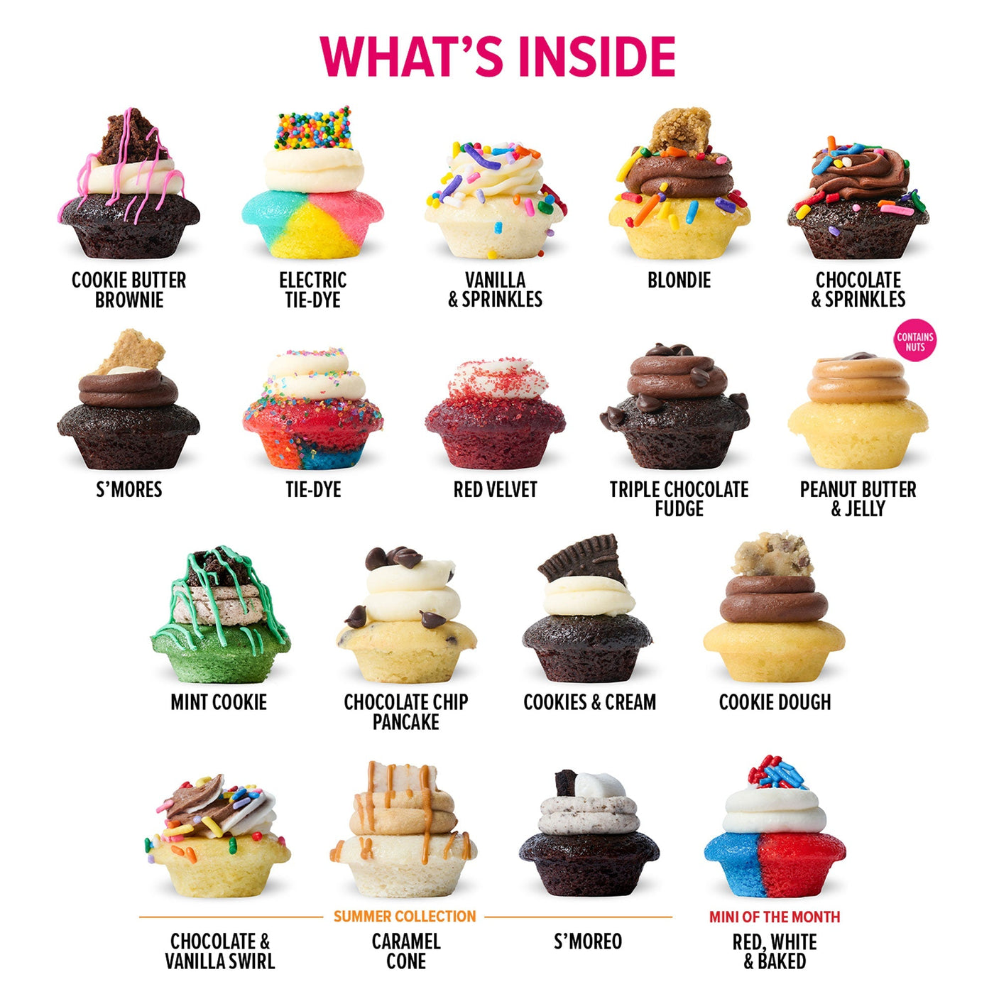 All The Flavors Cupcakes 100-Pack